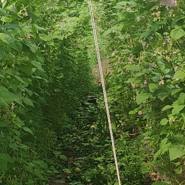 跟随季节有热情果释迦果，坚果咖啡，豆子，自己有冷库，有需要的