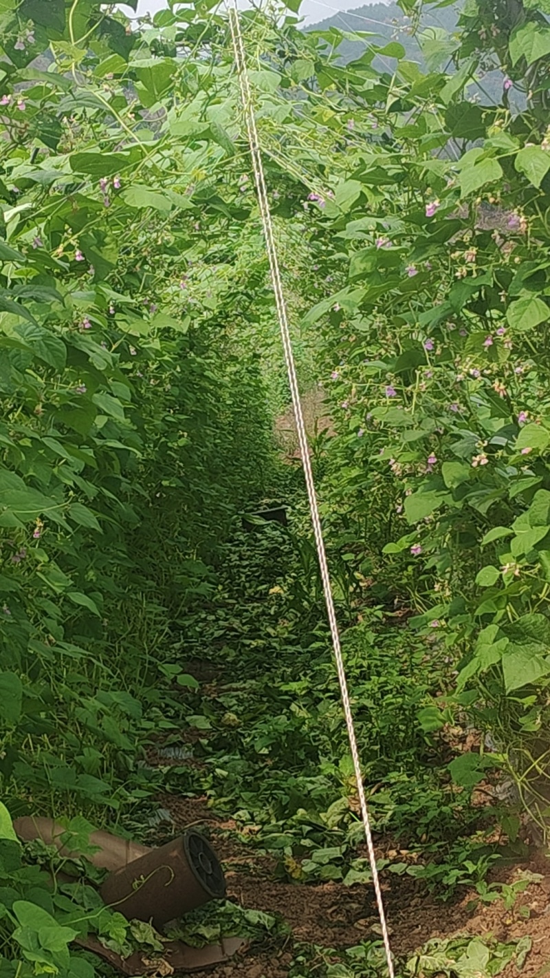 跟随季节有热情果释迦果，坚果咖啡，豆子，自己有冷库，有需要的