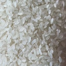 东北稻花香大米