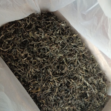 春茶古树茶叶