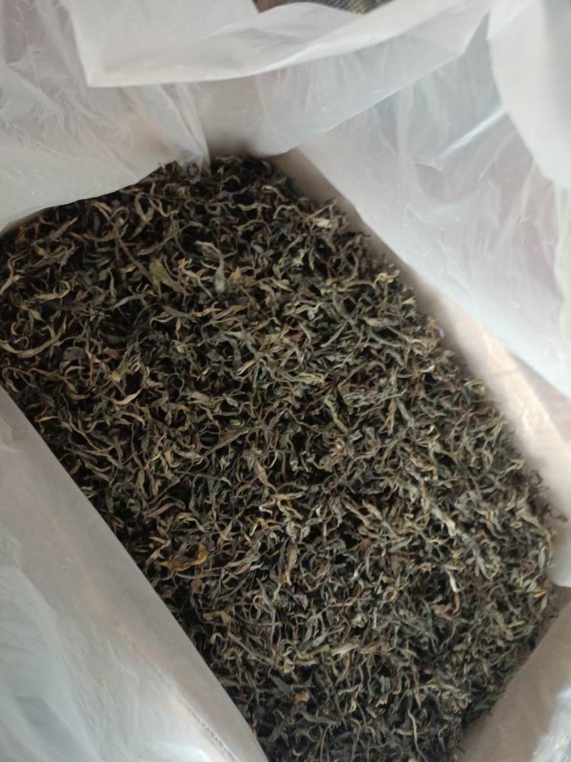 春茶古树茶叶