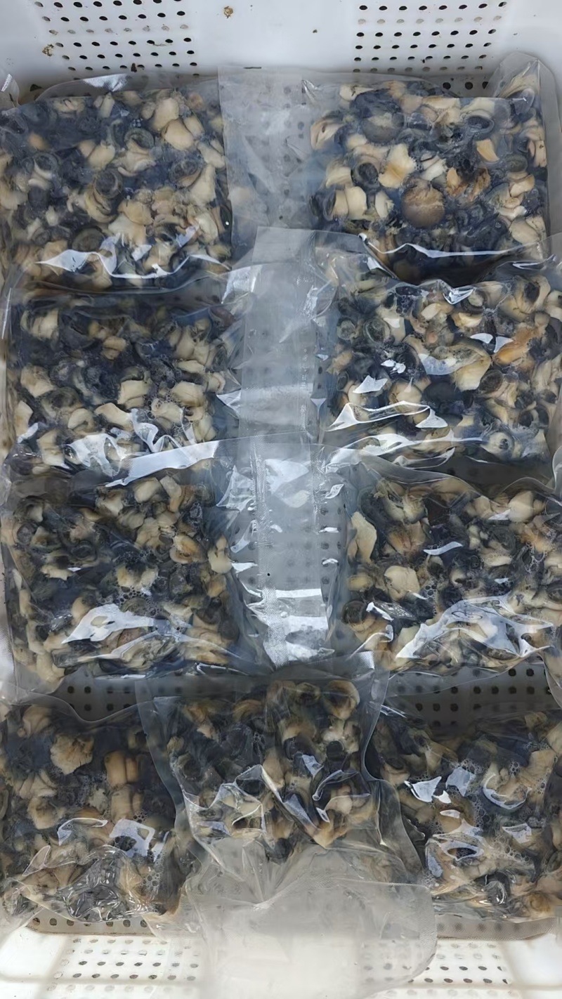 湖北田螺肉中大号。