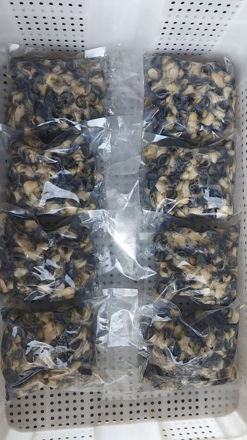 湖北田螺肉中大号。