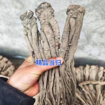 保农残当归