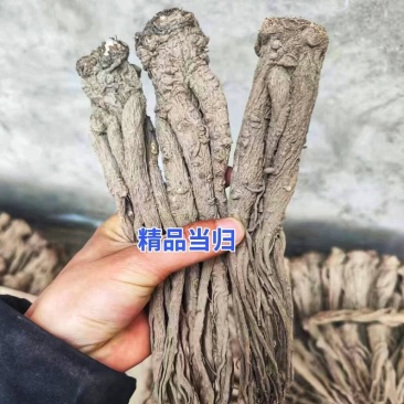 保农残当归