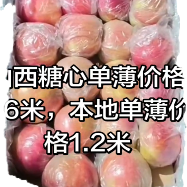本地富士，山西单膜，纸夹膜