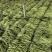 【热卖】芸豆白产地直销量大质优价优欢迎各大老板