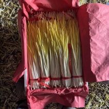 莱芜精品蒜黄