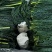 玩想卖羽衣甘蓝菜