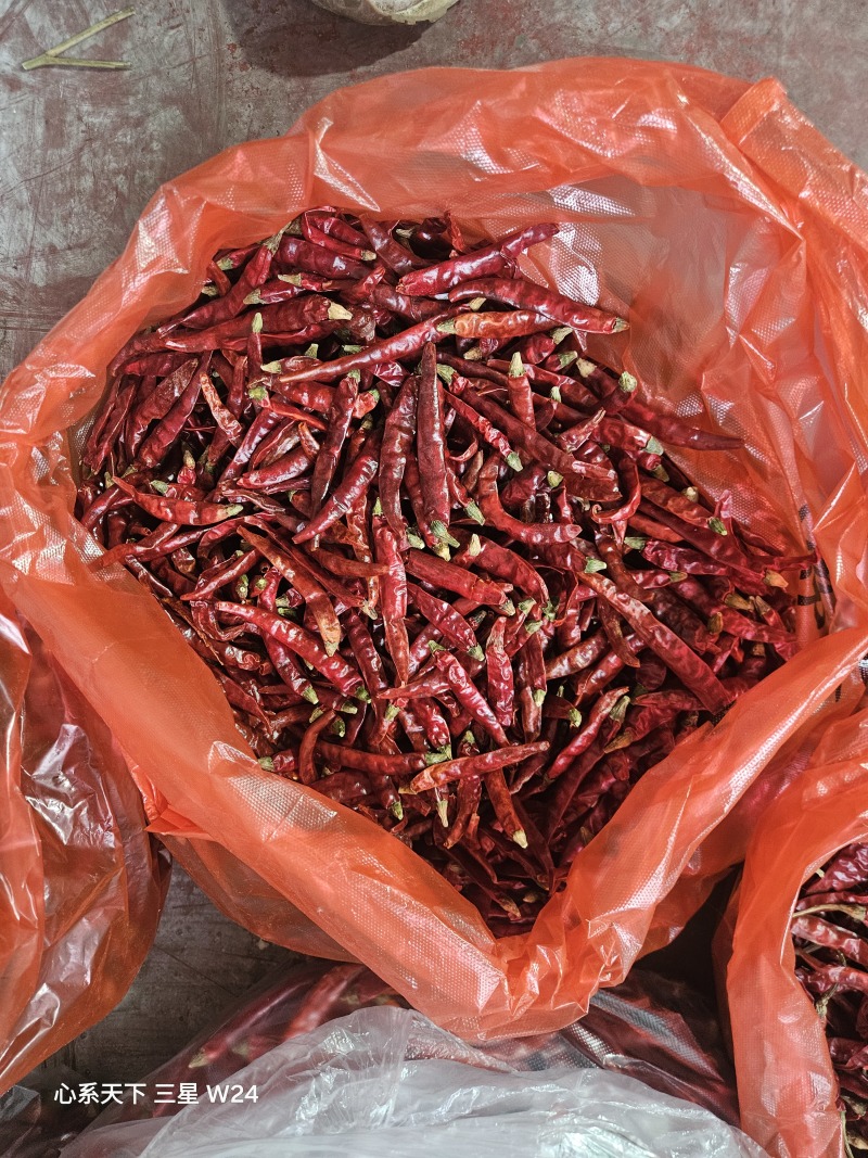 各种干辣椒