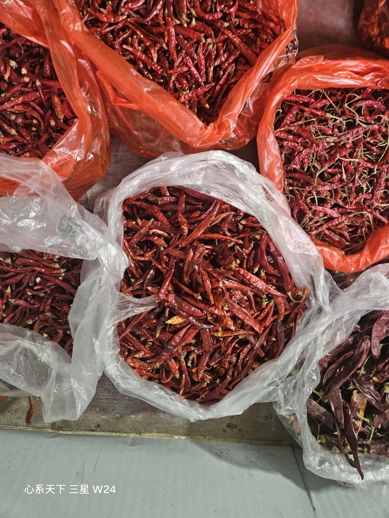 各种干辣椒