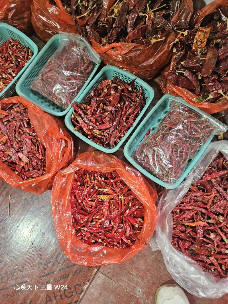 各种干辣椒