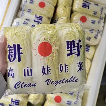全种类娃娃菜商标市场电商均可承接量大价优