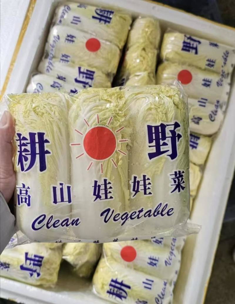 全种类娃娃菜商标市场电商均可承接量大价优