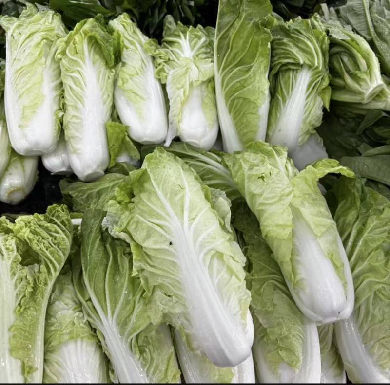 全种类娃娃菜商标市场电商均可承接量大价优