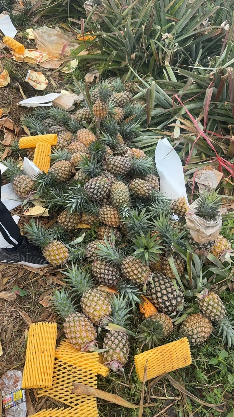 香水柠檬和凤梨
