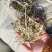 吉林松原2-3公分小草，湿度合适。绿度如图所示
