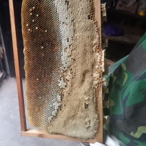 蜂蜜