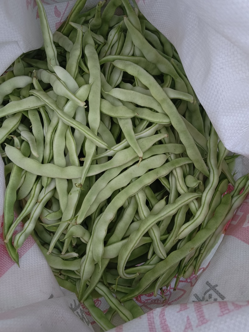 白豆角