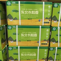东北大米辽宁黑山香米10斤