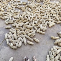 通货，精品都有货