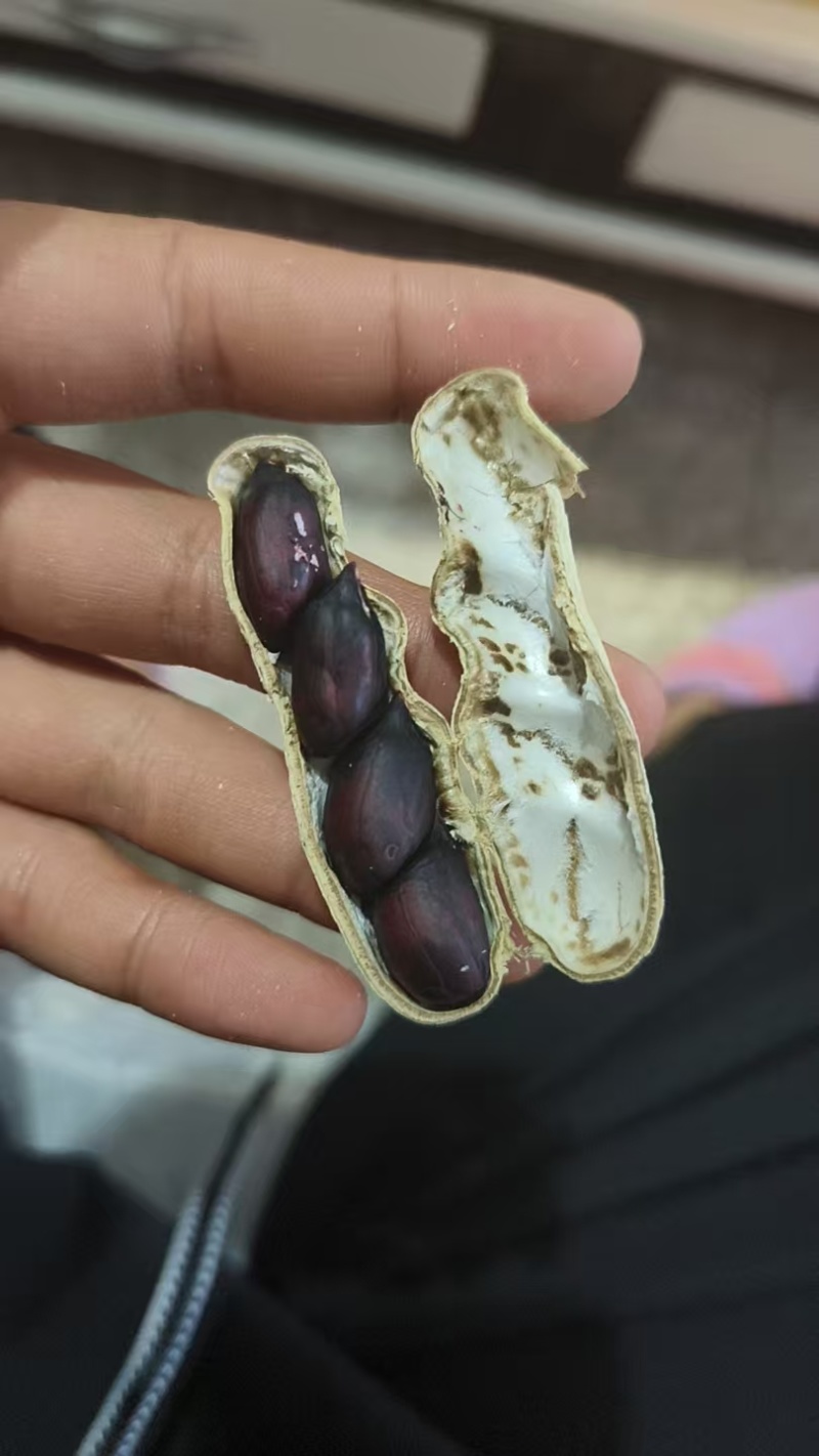 通货，精品都有货