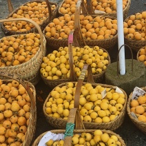 黄山歙县三潭枇杷