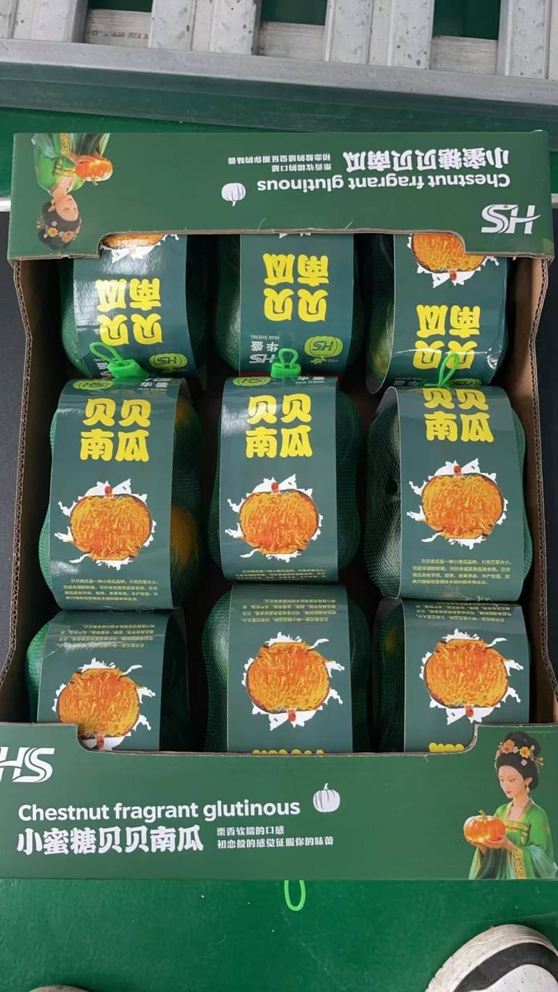 贝贝南瓜