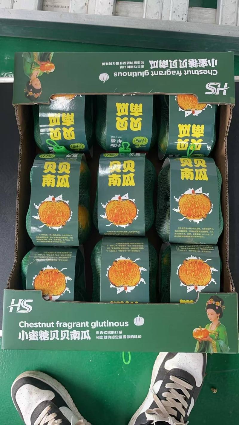 贝贝南瓜