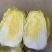 云南高山娃娃菜
