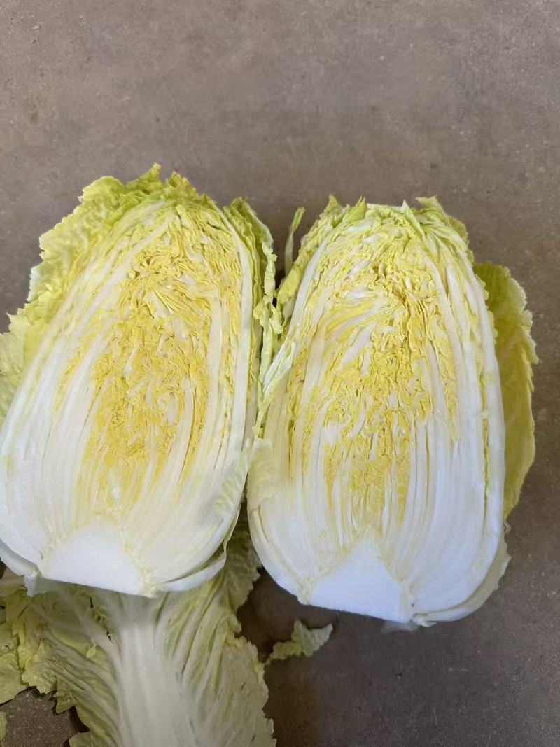 云南高山娃娃菜