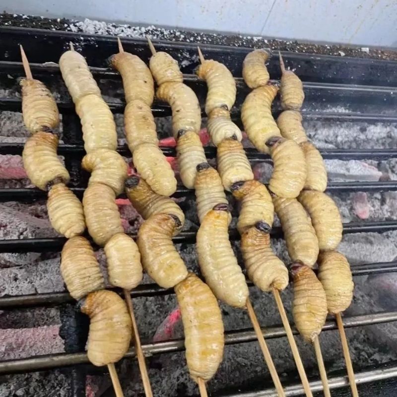 竹虫蛹