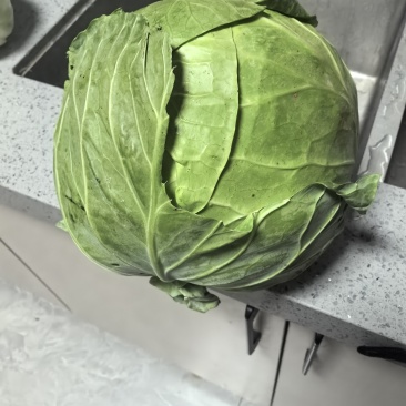 白菜
