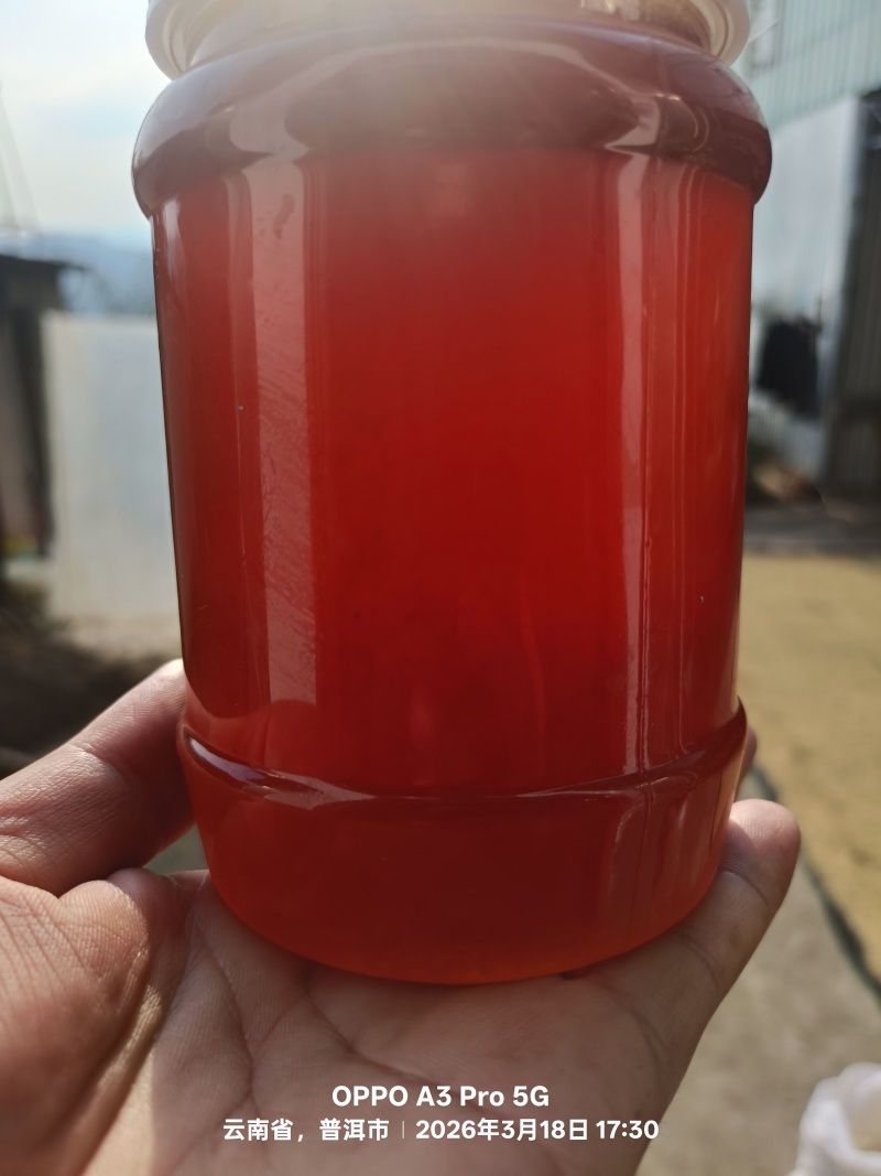 树洞土蜂蜜