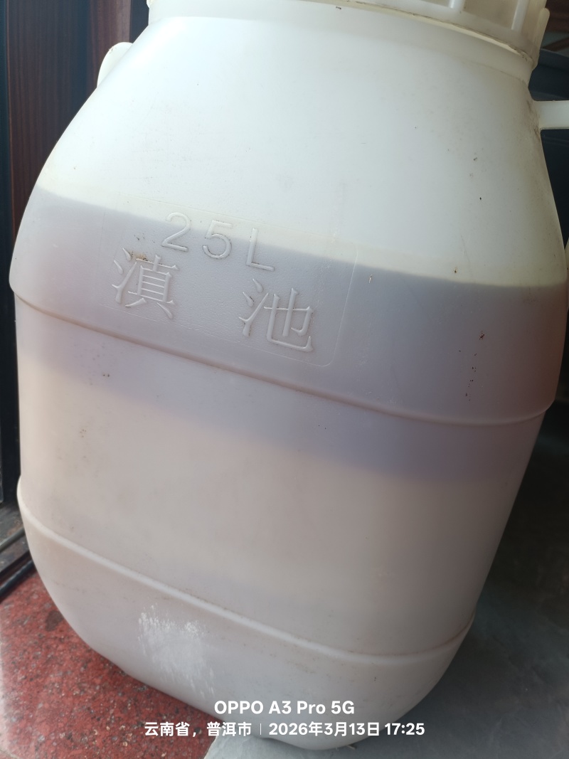树洞土蜂蜜