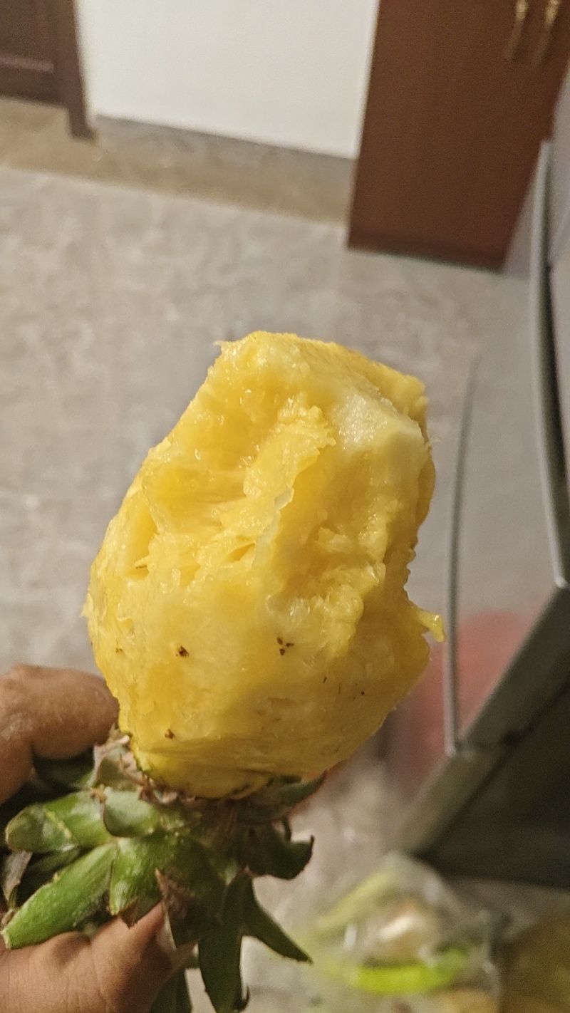 海南金钻凤梨产地直发
