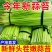 正宗金乡蒜苔一件代发商超品质价格冰点质量有保证