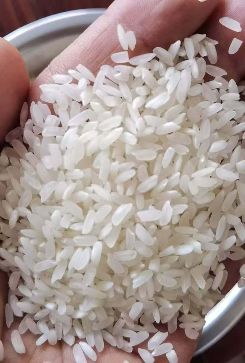 品牌商直销：广西锐鑫公司直销邕锐鑫牌缅甸米