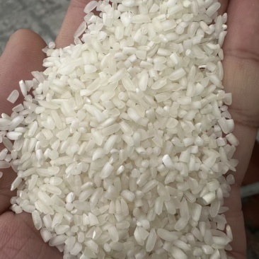 品牌商直销：广西锐鑫公司直销邕锐鑫牌缅甸米