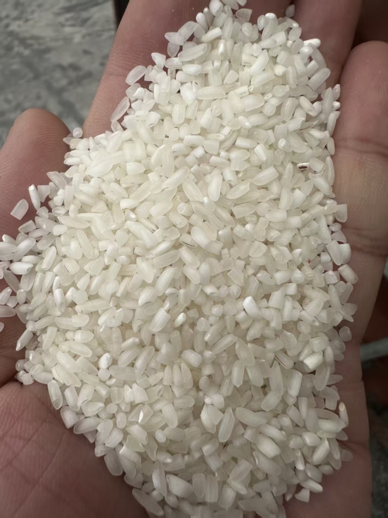 品牌商直销：广西锐鑫公司直销邕锐鑫牌缅甸米