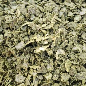 新疆优质棉饼牛羊育肥含油高蛋白高长膘快出栏快