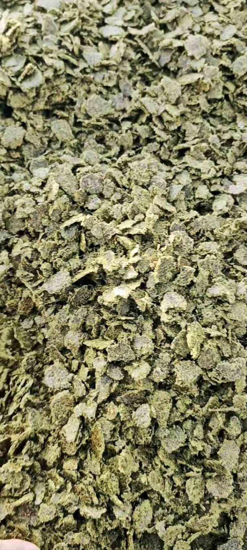 新疆优质棉饼牛羊育肥含油高蛋白高长膘快出栏快