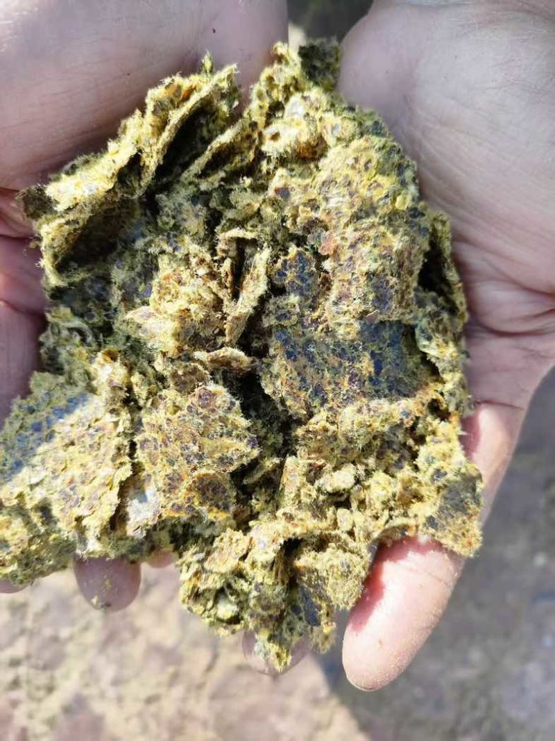 新疆优质棉饼牛羊育肥含油高蛋白高长膘快出栏快