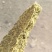 新疆优质棉饼牛羊育肥含油高蛋白高长膘快出栏快