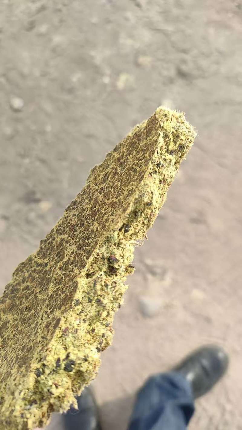 新疆优质棉饼牛羊育肥含油高蛋白高长膘快出栏快