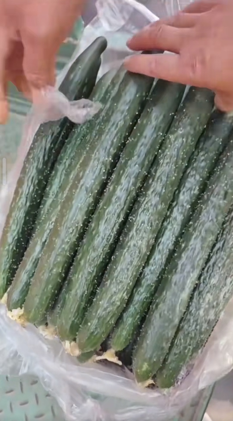 青嫩饱满，口感脆甜，家常必备好菜。