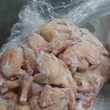 去头去爪肉食鸡