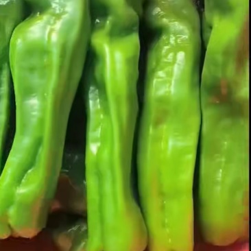 辣椒