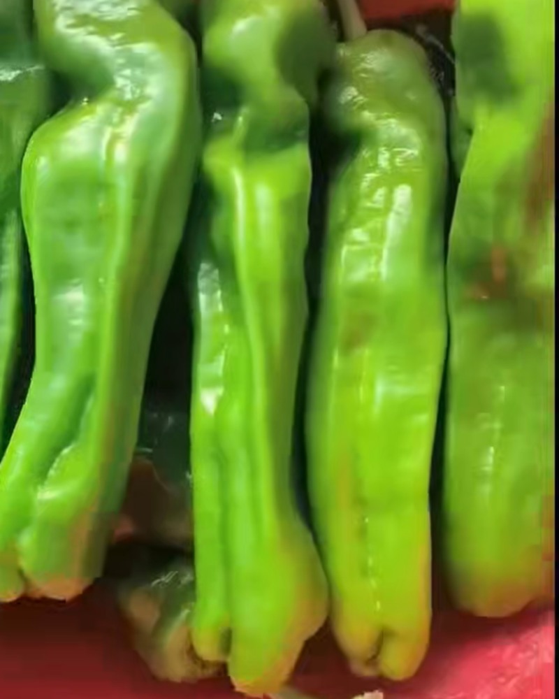 辣椒