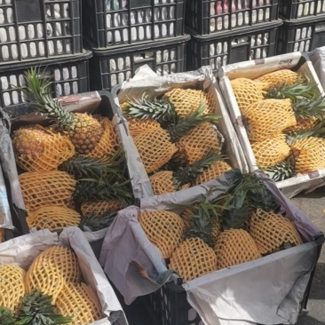 按框卖，一筐12个菠萝